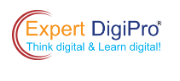 Expert DigiPro
