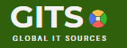 Global IT Sources