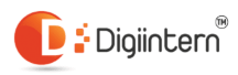 Digiintern