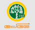 Delhi International School Edge Logo