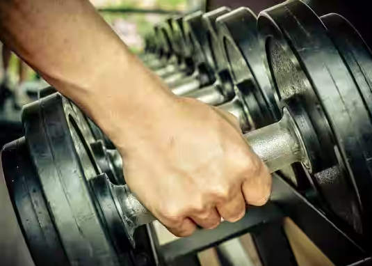 M.S. Fitzone