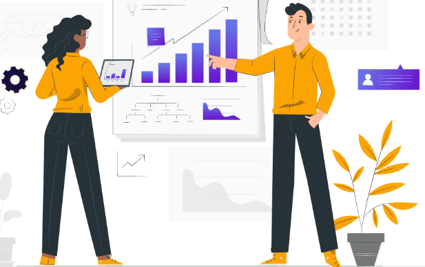 Web Expert India