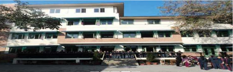 Vidya Niketan Senior Secondary School
