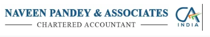 CA Naveen Pandey & Associates Logo